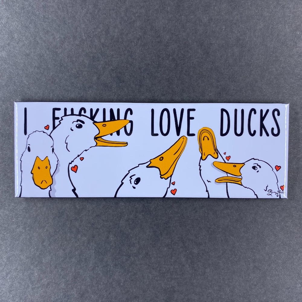 Funny I Love Ducks Magnet, Handmade Retro Pet Portrait Art Decor Gift 1.5x4.5"
